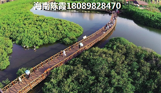昌江XG政策