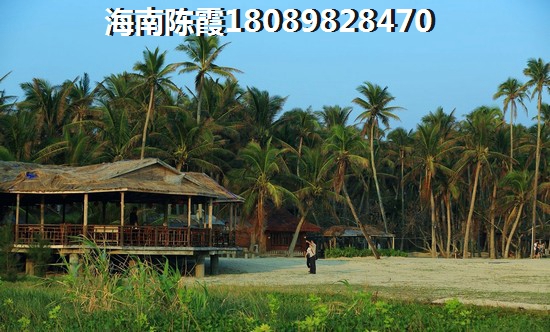 中南·林海间好不好？