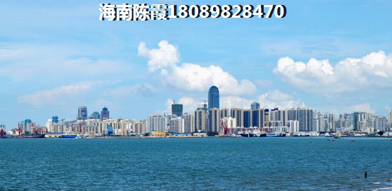 海南中南·林海间