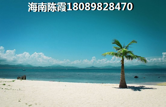 棋子湾壹号VS绿谷康都3期分析对比