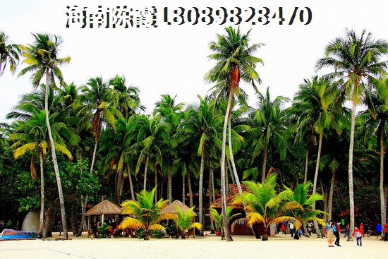 昌江海景房多少钱