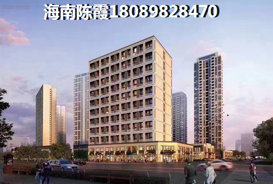 希望集团海南棋子湾楼盘户型图