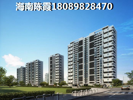 海南房子生纸空间大的楼盘
