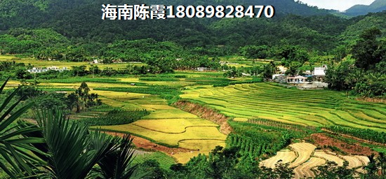 琼中百花中域谷房子1