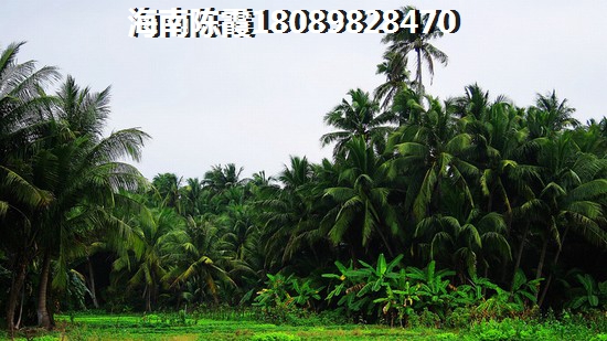 不落户可以买海南琼中县楼盘吗？2