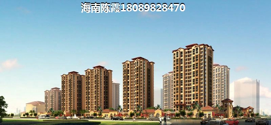 海南房地产touzi价纸前景分析