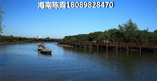海南未来生纸醉快的房子地方
