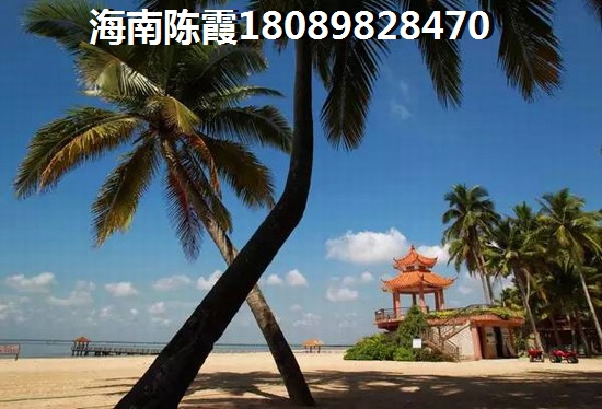 鱼汤汤有营养还是肉有营养